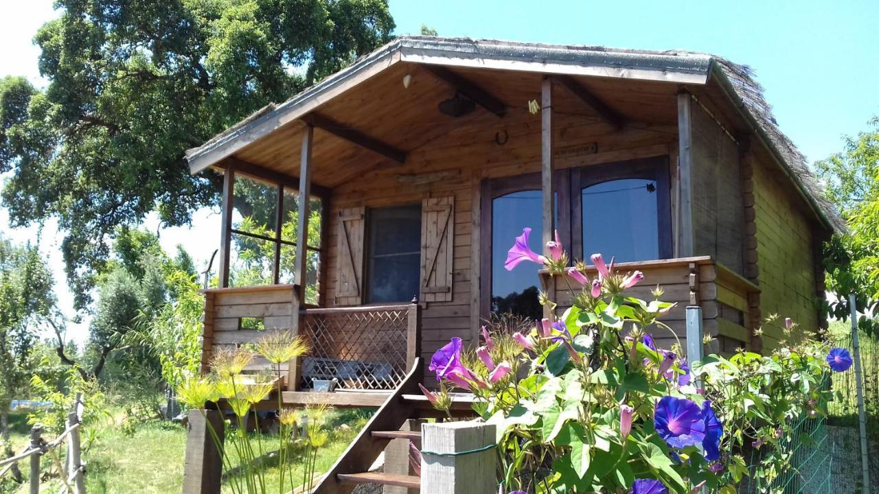Casa Do Sobreiro 2 Bed & Breakfast Serra das Alhadas Bagian luar foto