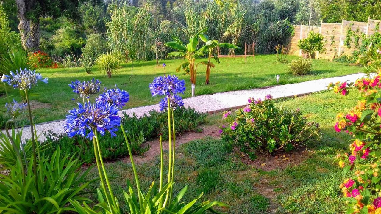 Casa Do Sobreiro 2 Bed & Breakfast Serra das Alhadas Bagian luar foto