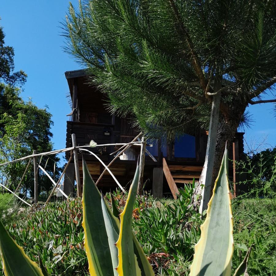 Casa Do Sobreiro 2 Bed & Breakfast Serra das Alhadas Bagian luar foto