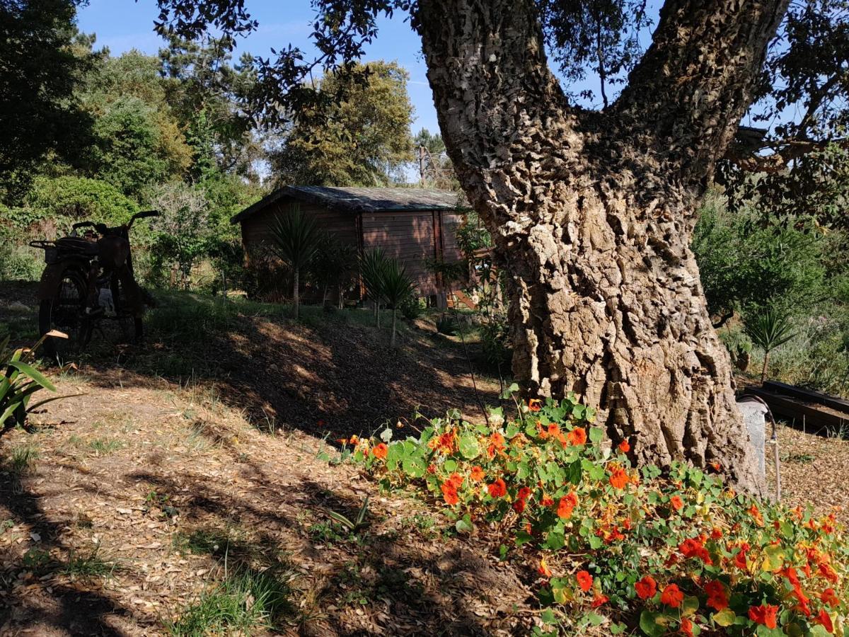 Casa Do Sobreiro 2 Bed & Breakfast Serra das Alhadas Bagian luar foto