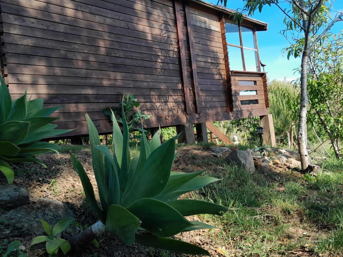 Casa Do Sobreiro 2 Bed & Breakfast Serra das Alhadas Bagian luar foto